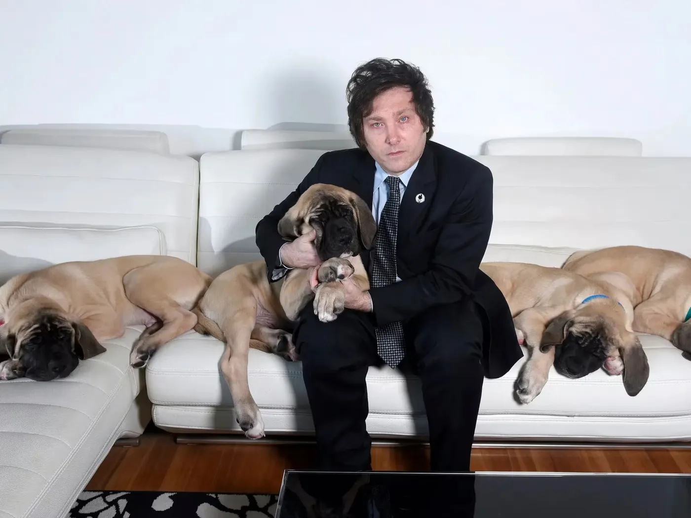 Murió Robert, uno de los clones de Conan el perro de Javier Milei Murió Robert, uno de los clones de Conan el perro de Javier Milei