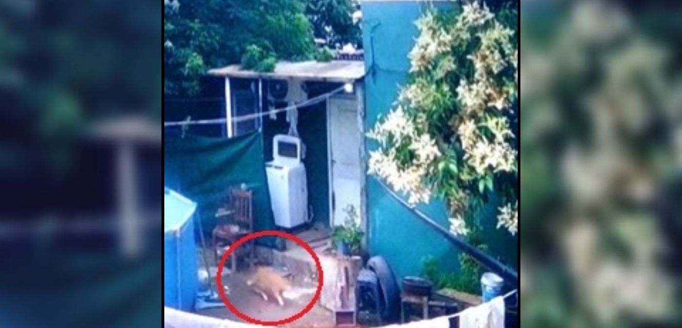 Copia de Copia de Copia de Copia de Copia de Copia de Copia de Copia de Copia de Copia de Copia de Copia de Copia de Copia de Copia de Copia de Copia de Copia de Copia de Copia de Copia de Copia d (1).jpg