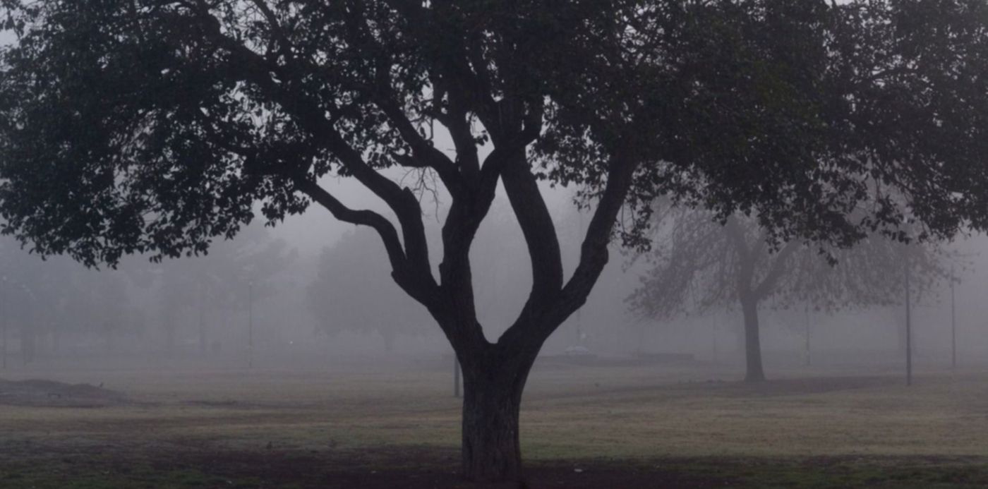 1687477945150.jpeg?x= 30&y=226&width=1546&height=773&rotate=0&scaleX=1&scaleY=1&ow=1500&oh=999&&cw=1920&ch=950