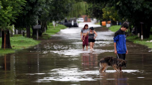 en la plata llovio en 2 dias un 65% mas que el promedio para todo el mes de marzo