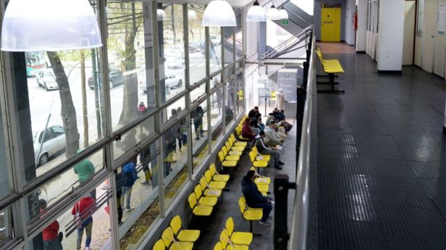 reabrio control urbano y se podra tramitar nuevamente el carnet de conducir