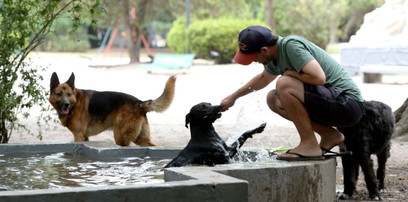 1640949406115.jpg?x=12&y=148&width=1476&height=738&rotate=0&scaleX=1&scaleY=1&ow=1500&oh=1010&&cw=1920&ch=950