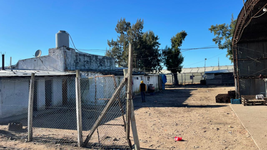 fuerte operativo en las quintas de la plata por una presunta red de trata laboral y trabajo infantil