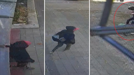 Robaron una moto en La Plata, el ladrón quedó filmado y piden ayuda para recuperarla