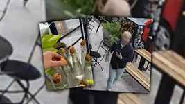 filmaron a un hombre que se robo una palta germinada de un cafe en la plata filmaron a un hombre que se robo una palta germinada de un cafe en la plata