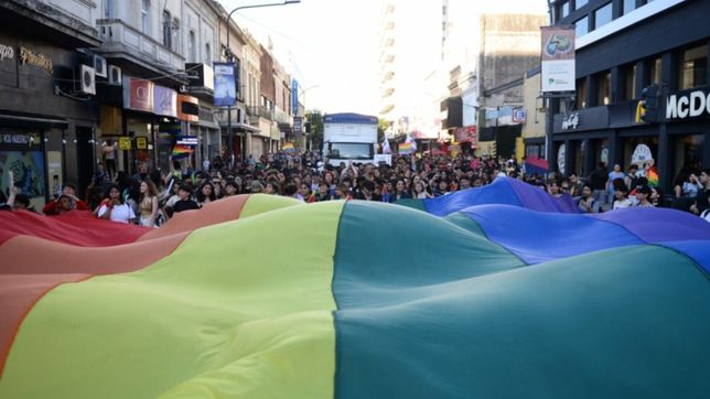 las calles de la plata se tineron de multicolor en una nueva marcha del orgullo
