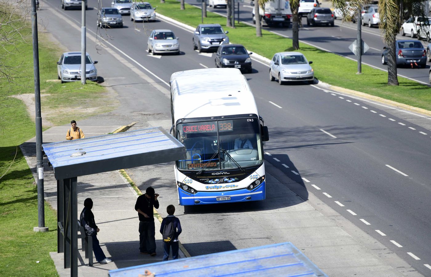 Micros Colectivos TALP