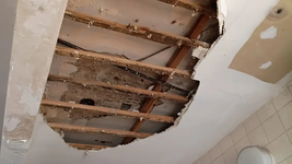 se desprendio parte del techo del hospital san martin de la plata y debieron cerrar el laboratorio