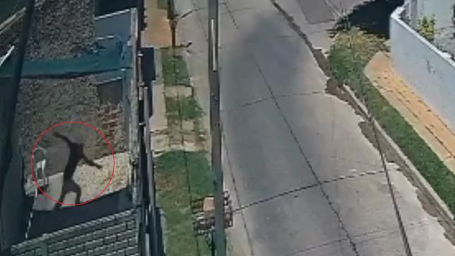 un vecino de ringuelet se resistio a un robo y baleo al ladron