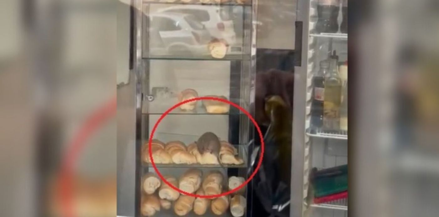 1665061382311.jpg?x=8&y=15&width=1262&height=631&rotate=0&scaleX=1&scaleY=1&ow=1350&oh=650&&cw=1920&ch=950