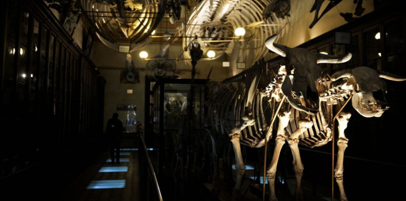 1564149220187.jpg?x=4&y=97&width=1492&height=746&rotate=0&scaleX=1&scaleY=1&ow=1500&oh=843&&cw=1920&ch=950