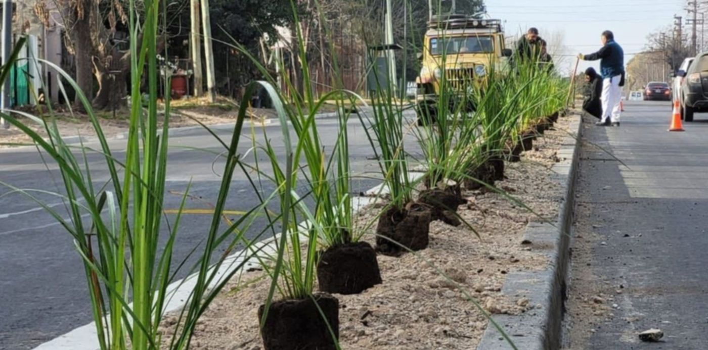 1656968229142.jpg?x=3&y=0&width=1194&height=597&rotate=0&scaleX=1&scaleY=1&ow=1200&oh=900&&cw=1920&ch=950