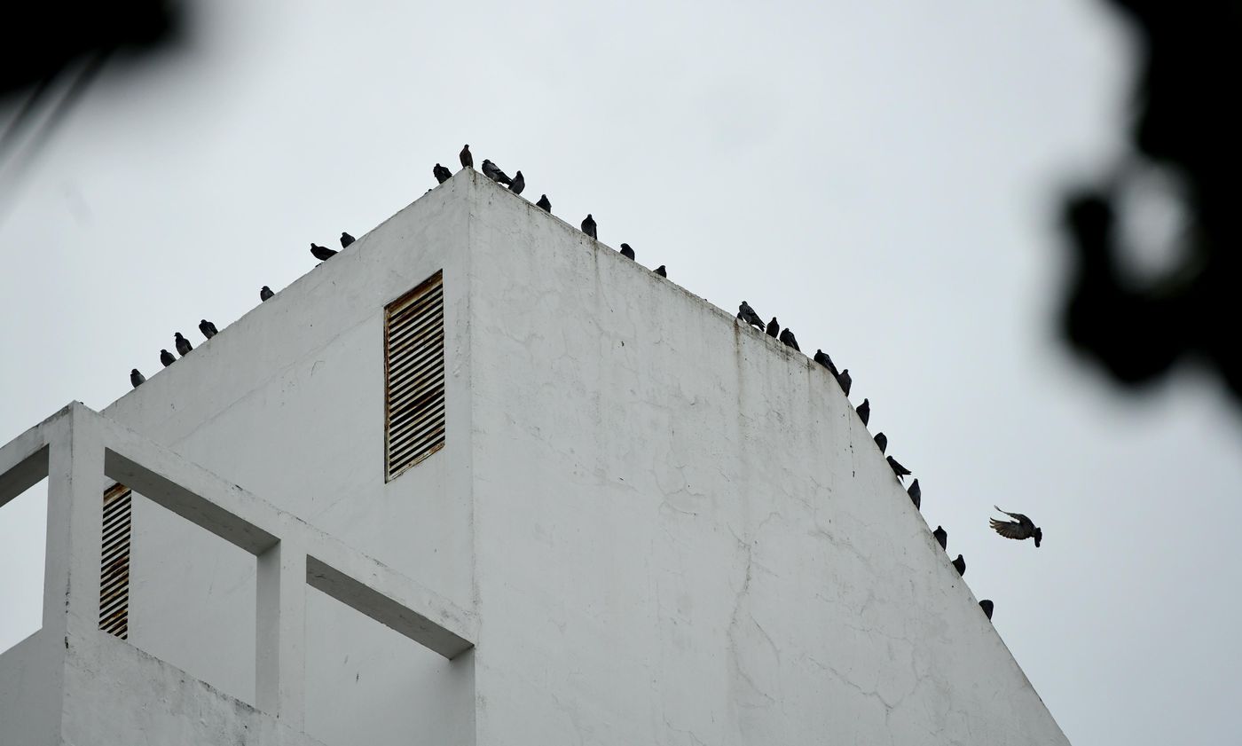 Clima Lluvias (6).JPG