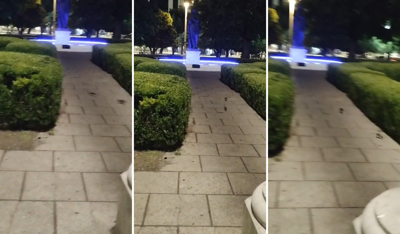 ratas en plaza moreno