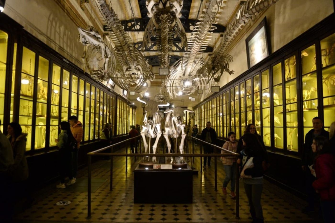 La Noche de los Museos