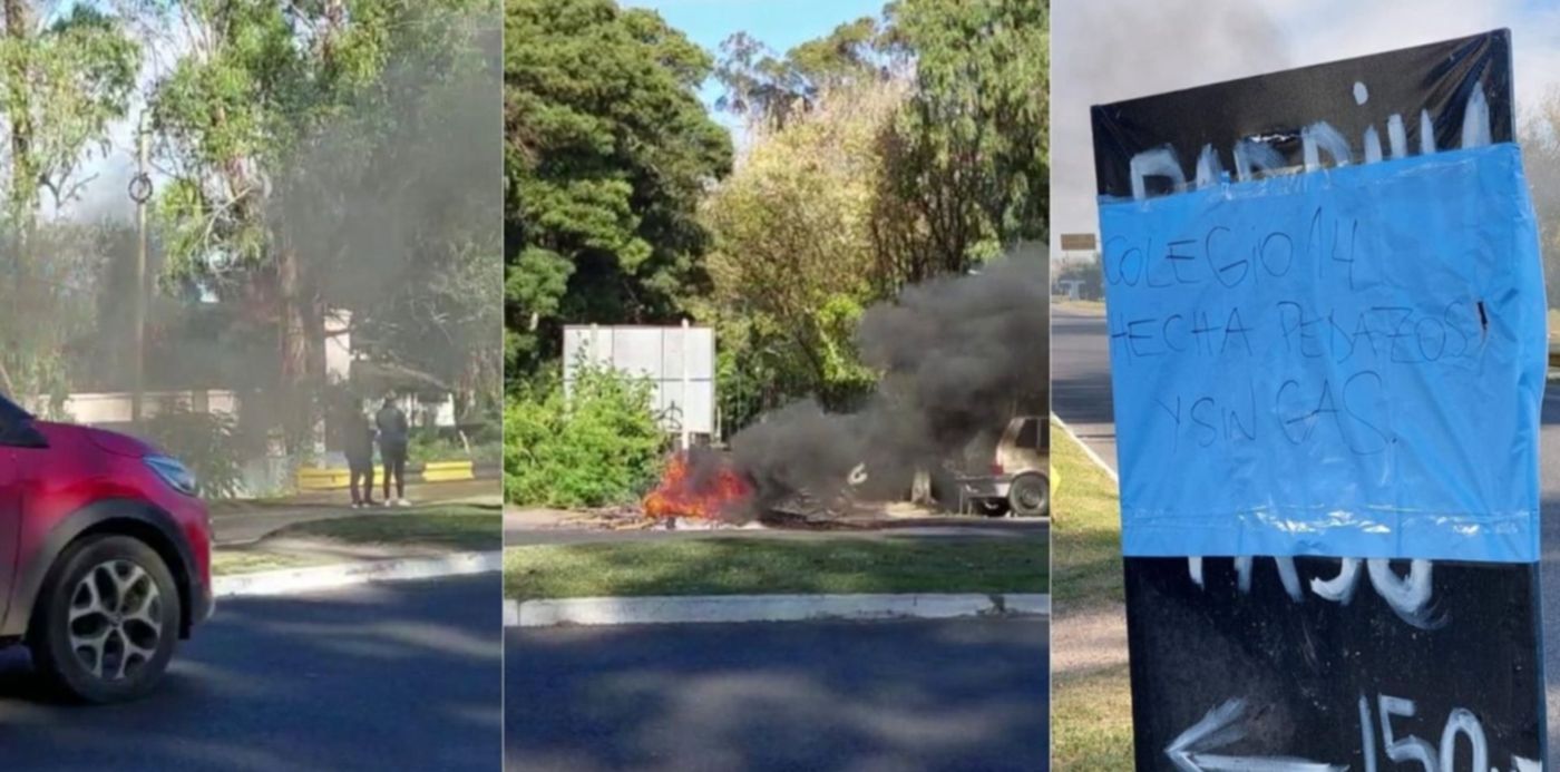 1651498877372.jpg?x=39&y=6&width=1428&height=714&rotate=0&scaleX=1&scaleY=1&ow=1500&oh=742&&cw=1920&ch=950