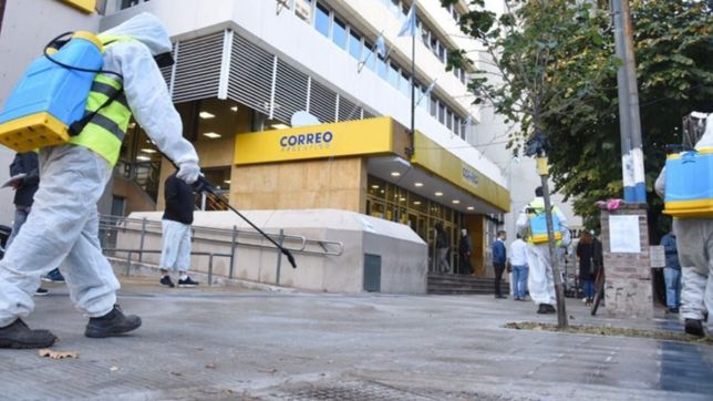 la vida despues del ife: estudian como darle continuidad y convertirlo en una renta basica