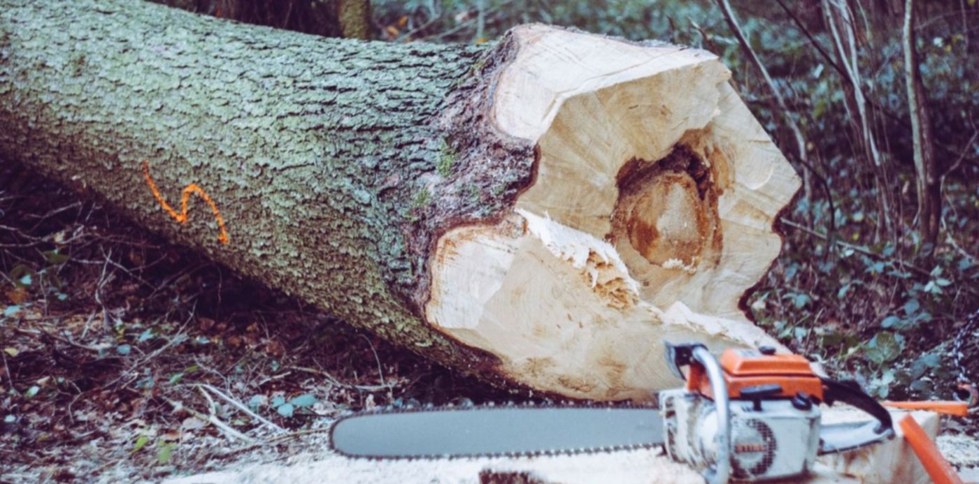 1589897556520.jpg?rotate=0&y=91&height=741&scaleX=1&scaleY=1&ow=1500&oh=880&x=5&width=1481&&cw=1920&ch=950