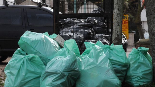 cambia la recoleccion en la plata y las delegaciones se haran cargo del servicio en nueve barrios