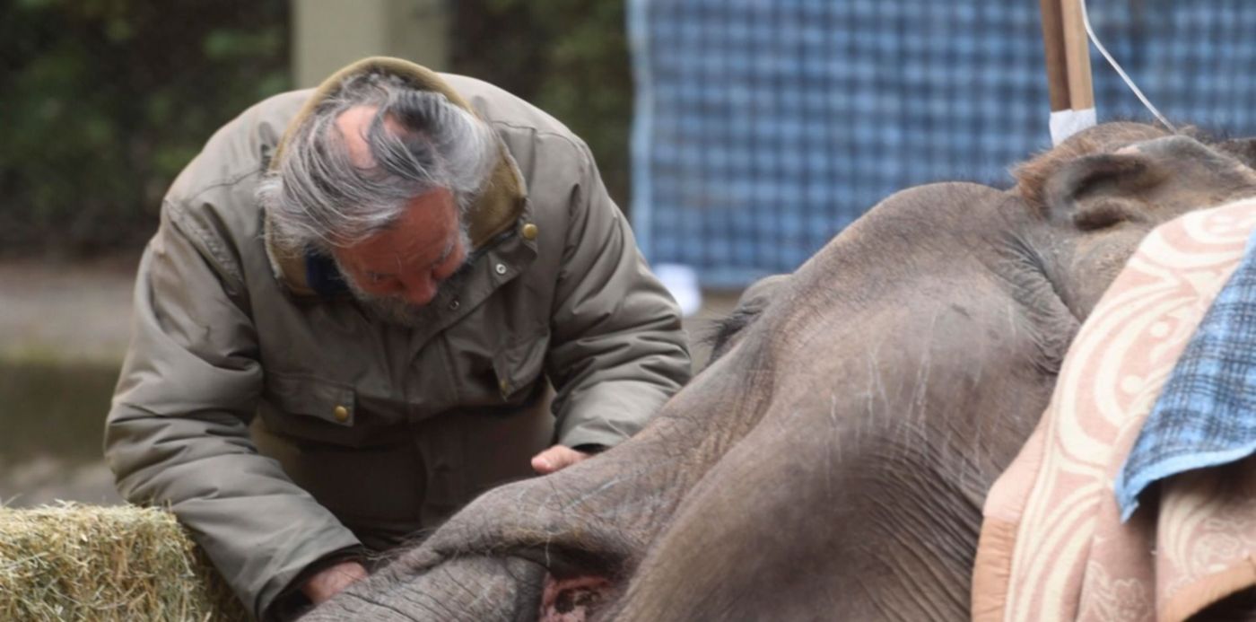 1528195855380.jpg?&cw=1920&ch=950