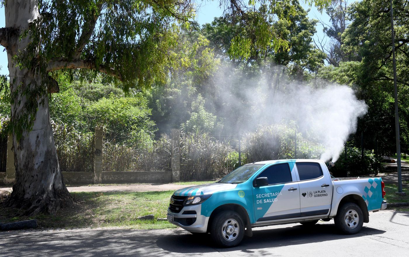 fumigacion bosque mosquitos-0009.JPG