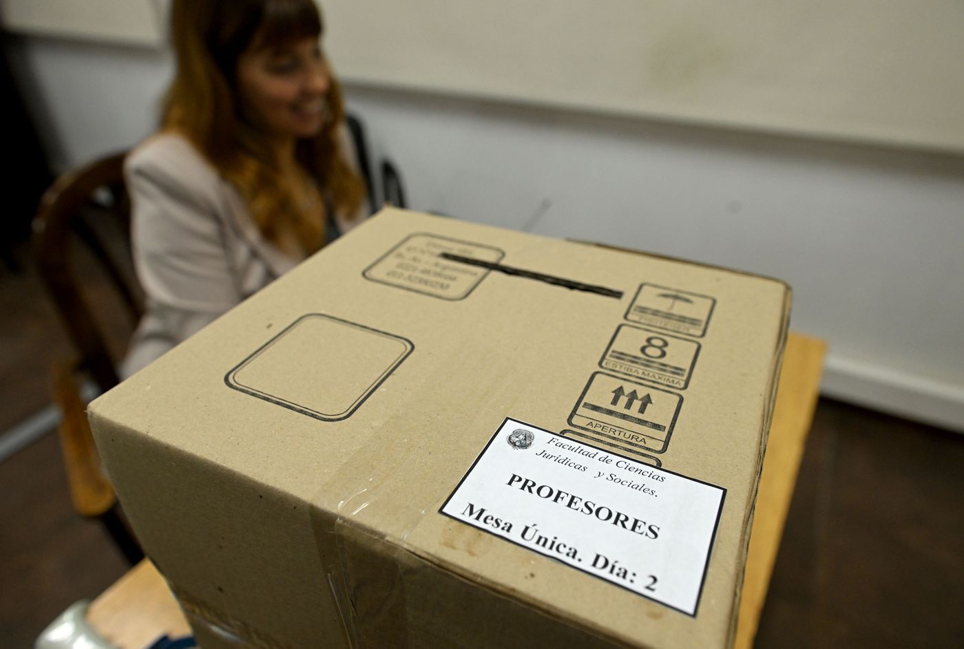 elecciones unlp claustro profesores-310