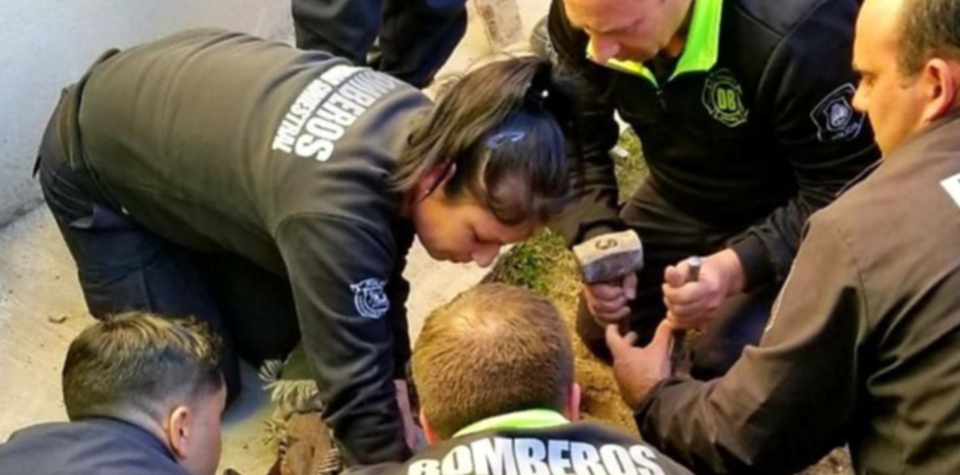 1564700892677.jpeg?width=800&scaleX=1&height=400&rotate=0&scaleY=1&ow=810&oh=760&x=5&y=188&&cw=1920&ch=950