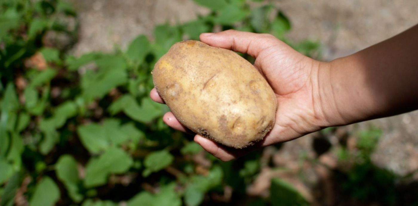 1590668479512.jpg?y=142&scaleY=1&ow=1500&oh=1004&x=9&height=741&rotate=0&scaleX=1&width=1481&&cw=1920&ch=950