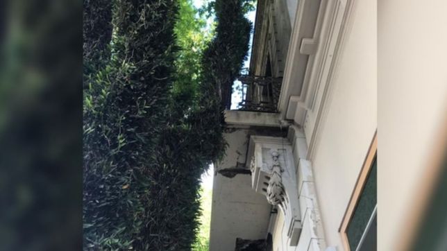 un arbol gigante quedo apoyado sobre un balcon y los vecinos temen que se caiga