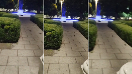 ratas en plaza moreno