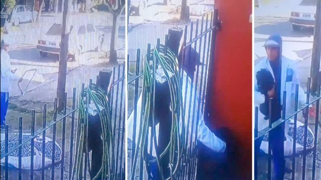 video: asi actuo en los hornos un desalmado ladron que se robo una perrita y escapo