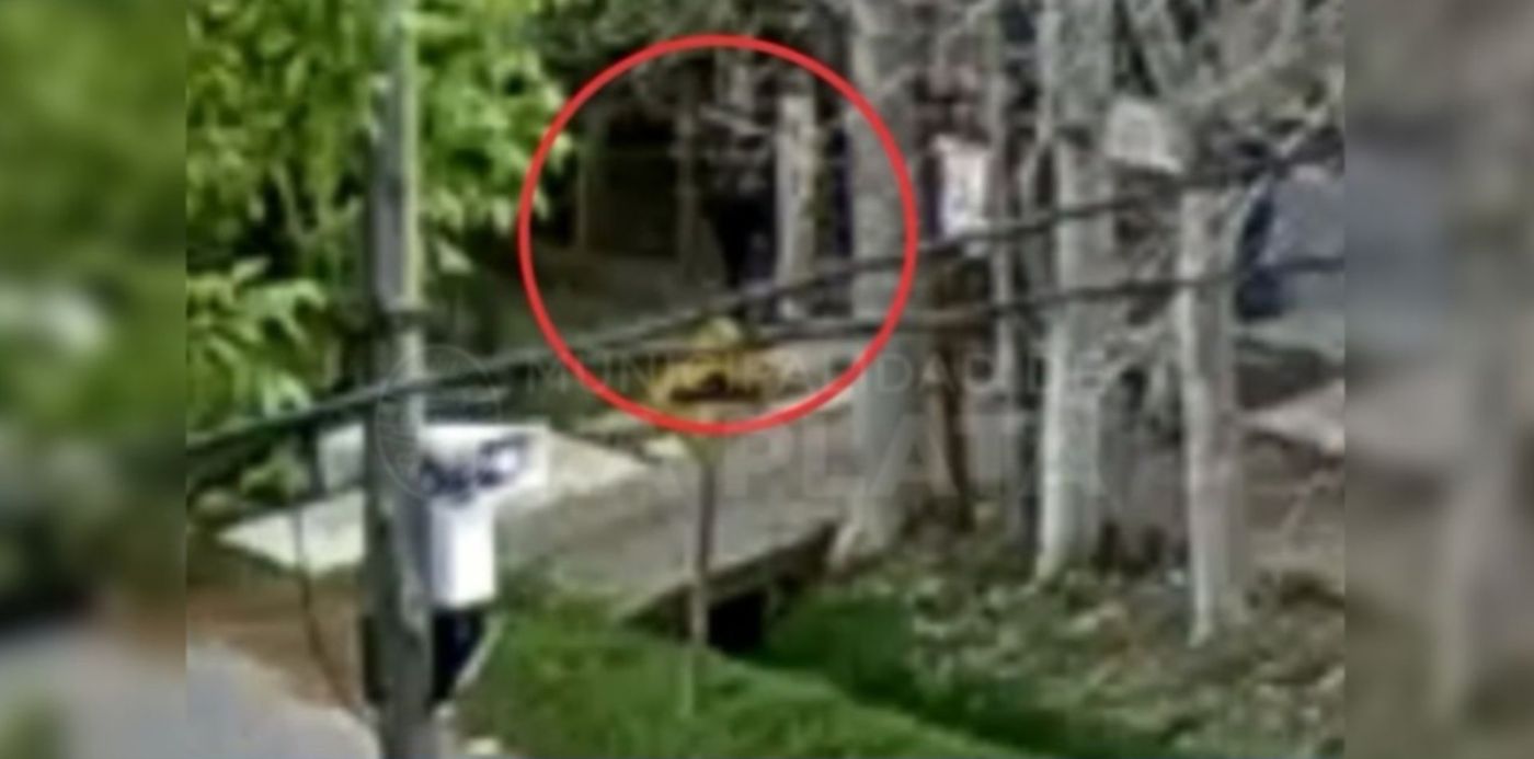 1633352890864.jpg?x=41&y=10&width=1270&height=635&rotate=0&scaleX=1&scaleY=1&ow=1350&oh=650&&cw=1920&ch=950