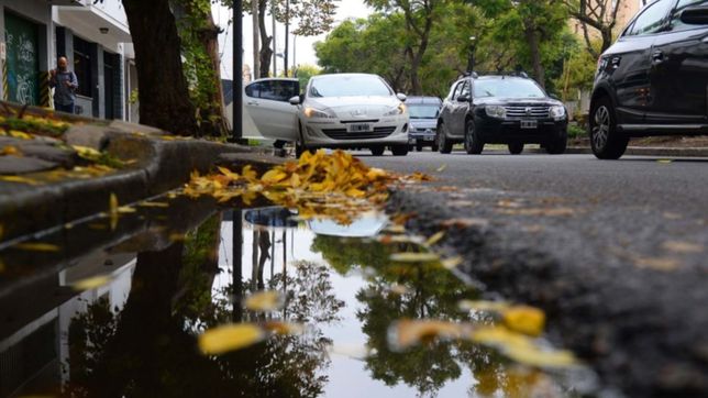 con dias grises y amenaza de lluvias, caen las temperaturas este fin de semana en la plata