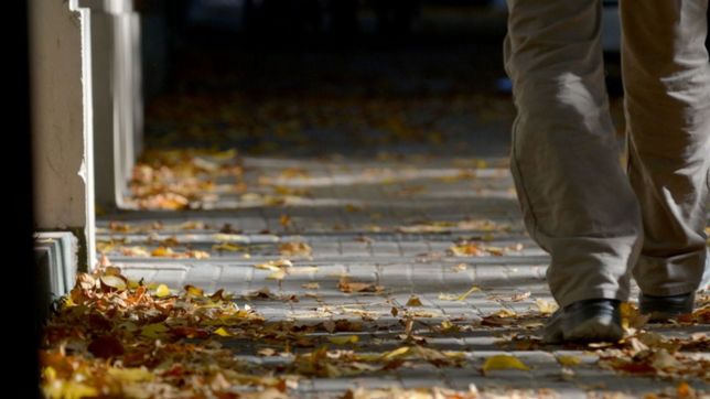 clima en la plata: domingo con buen tiempo, fresco y algo nublado en la ciudad