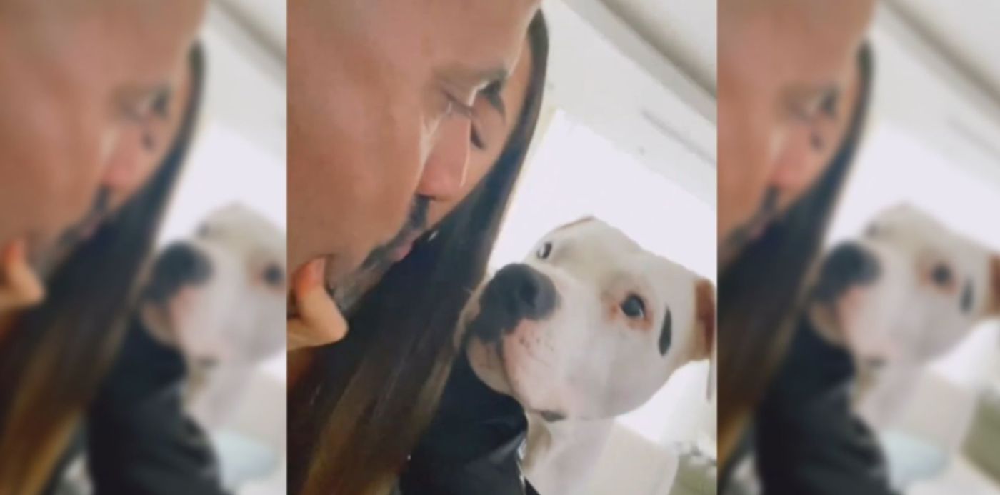 1654627179689.jpg?x=5&y=58&width=1265&height=633&rotate=0&scaleX=1&scaleY=1&ow=1280&oh=720&&cw=1920&ch=950