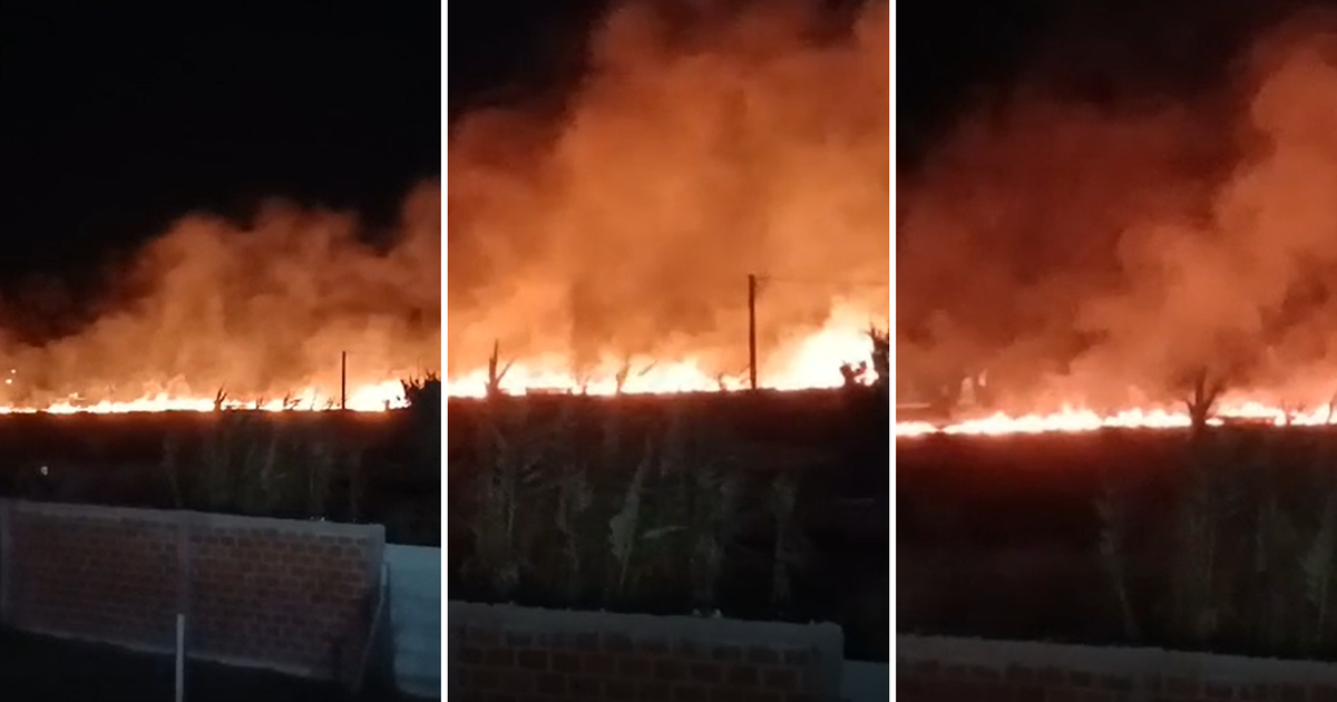 Vecinos de Villa Elvira denunciaron incendios provocados en el barrio