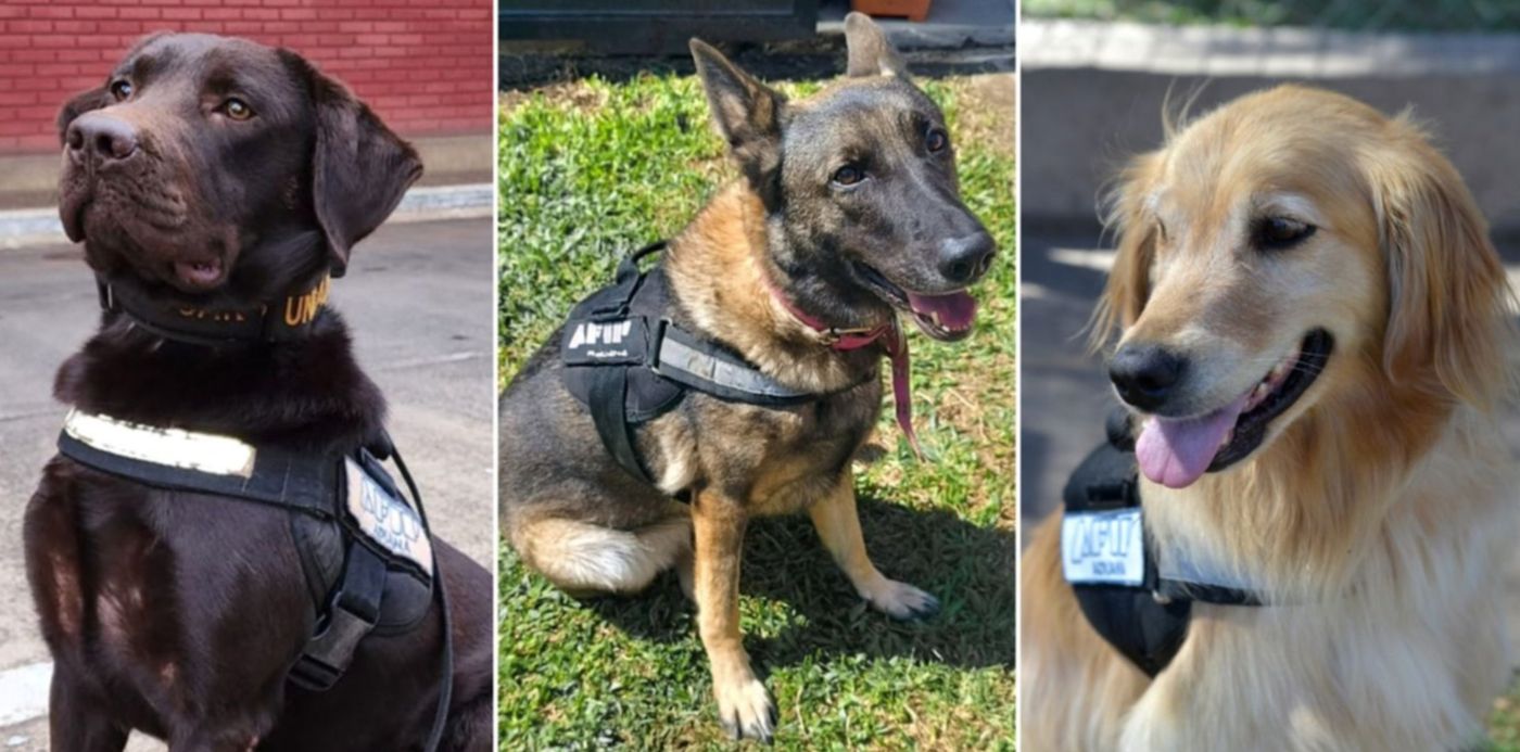 1682798951938.jpg?x=27&y=35&width=1452&height=726&rotate=0&scaleX=1&scaleY=1&ow=1500&oh=843&&cw=1920&ch=950