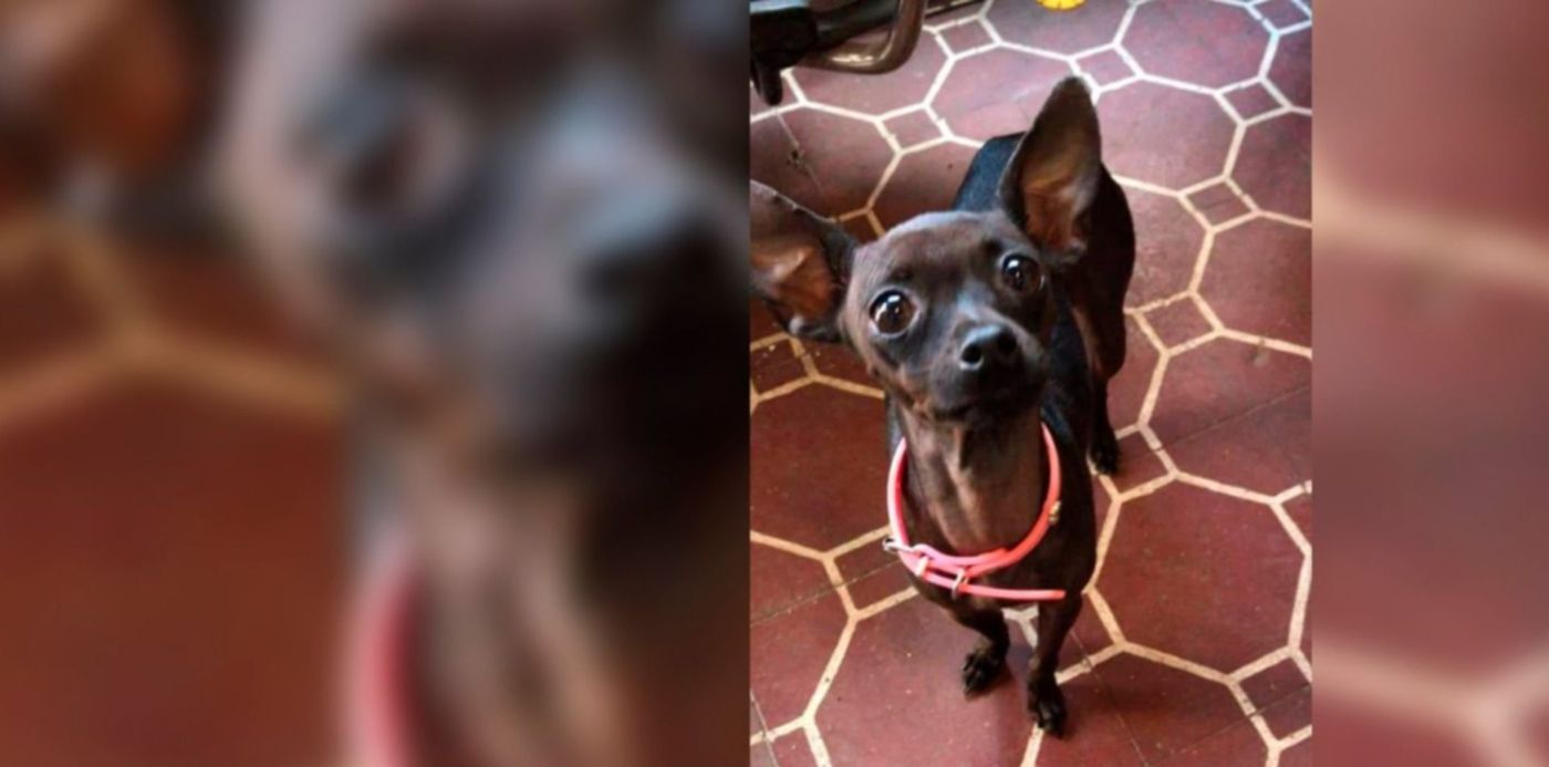 1559004146349.jpg?y=0&height=742&scaleX=1&scaleY=1&ow=1500&x=8&width=1484&rotate=0&oh=742&&cw=1920&ch=950