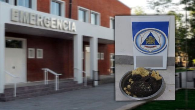 la insolita historia por la que dos nenes terminaron en terapia por comer budin con drogas