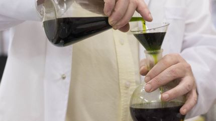 Presentaron un amparo colectivo para obligar al Estado a distribuir aceite de cannabis