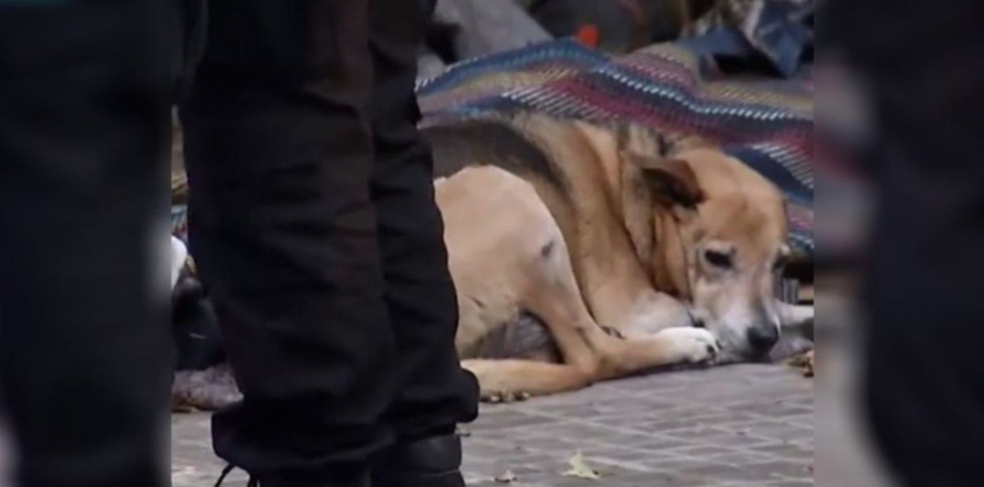 1603384481678.jpg?x=44&y=12&width=1261&height=631&rotate=0&scaleX=1&scaleY=1&ow=1350&oh=650&&cw=1920&ch=950