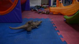 un jardin esta en obra hace 3 anos, tienen clases en containers y reclaman al consejo escolar un jardin esta en obra hace 3 anos, tienen clases en containers y reclaman al consejo escolar