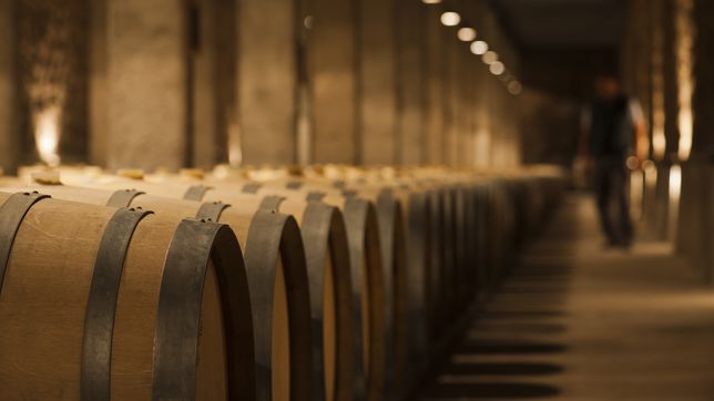 ¿quien era el turista de la plata que murio en una bodega de mendoza?