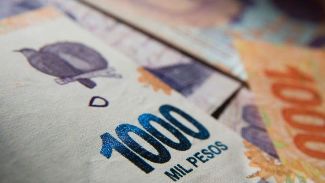 Banco Provincia lanzó préstamos para personal de casas particulares: ¿cómo solicitarlos?