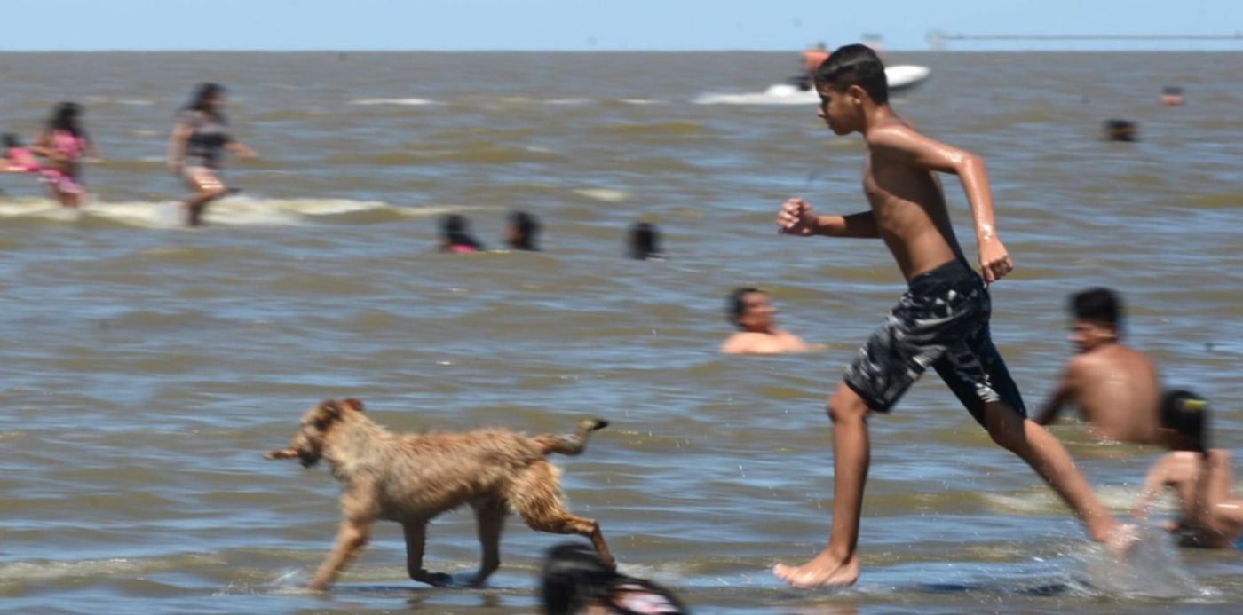 1581089706293.jpg?x=13&y=107&width=1474&height=737&rotate=0&scaleX=1&scaleY=1&ow=1500&oh=978&&cw=1920&ch=950