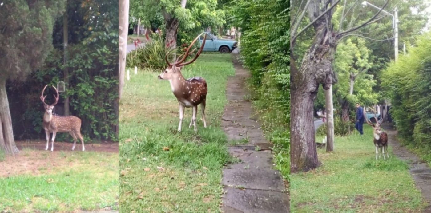 1671196064892.jpeg?x=7&y=0&width=1266&height=633&rotate=0&scaleX=1&scaleY=1&ow=1280&oh=633&&cw=1920&ch=950