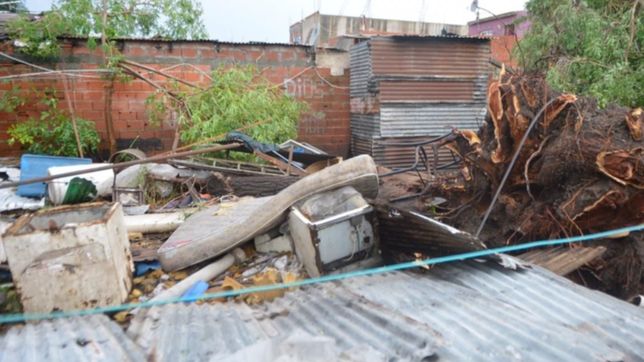 un arbol cayo sobre una casa de tolosa en plena tormenta: padre e hijo murieron