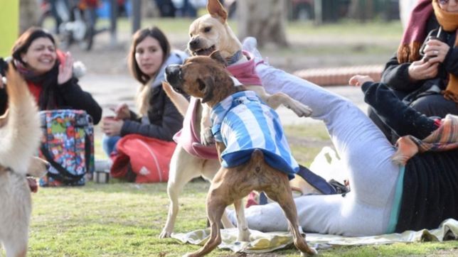 las plazas tendran espacios exclusivos para perros y expendedoras de bolsas para la caca