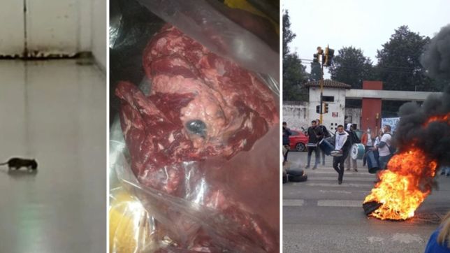 ratas, comida podrida y duros reclamos: trabajadores protestan en el hospital de romero