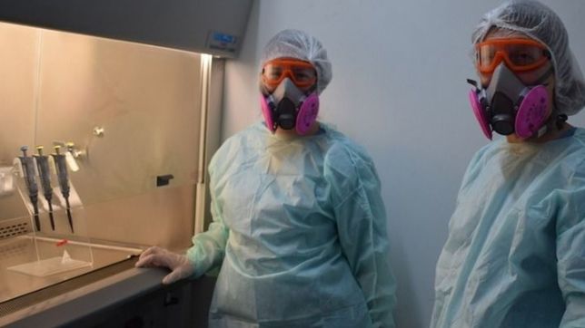 covid-19: la unlp ya analizo mas de 30 muestras provenientes de hospitales de la provincia